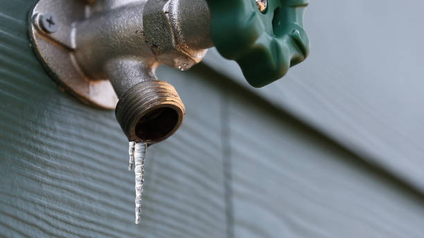 Best Local Plumber Services  in Piperton, TN